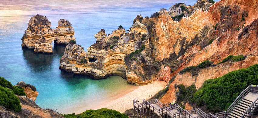 Tajinaste red flowers at Teide